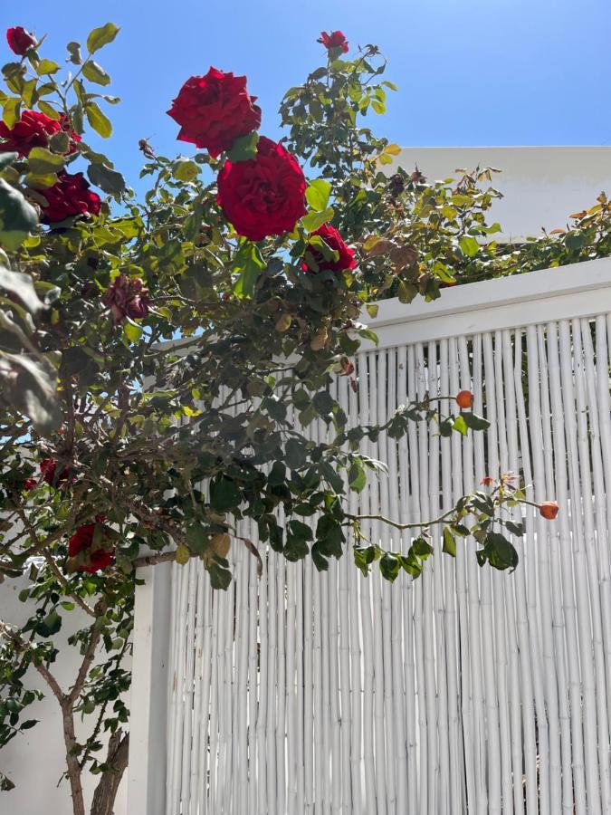 Aleria Central Apartments Naxos City Exterior foto